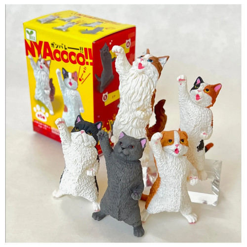 Yell nyaooo power cats blind - cats,